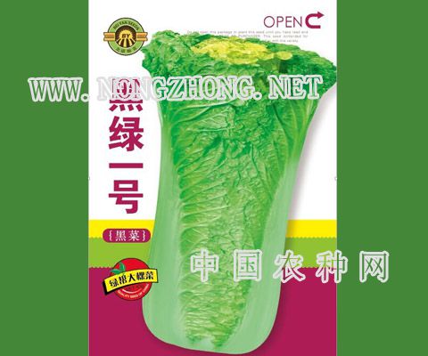 黑绿一号